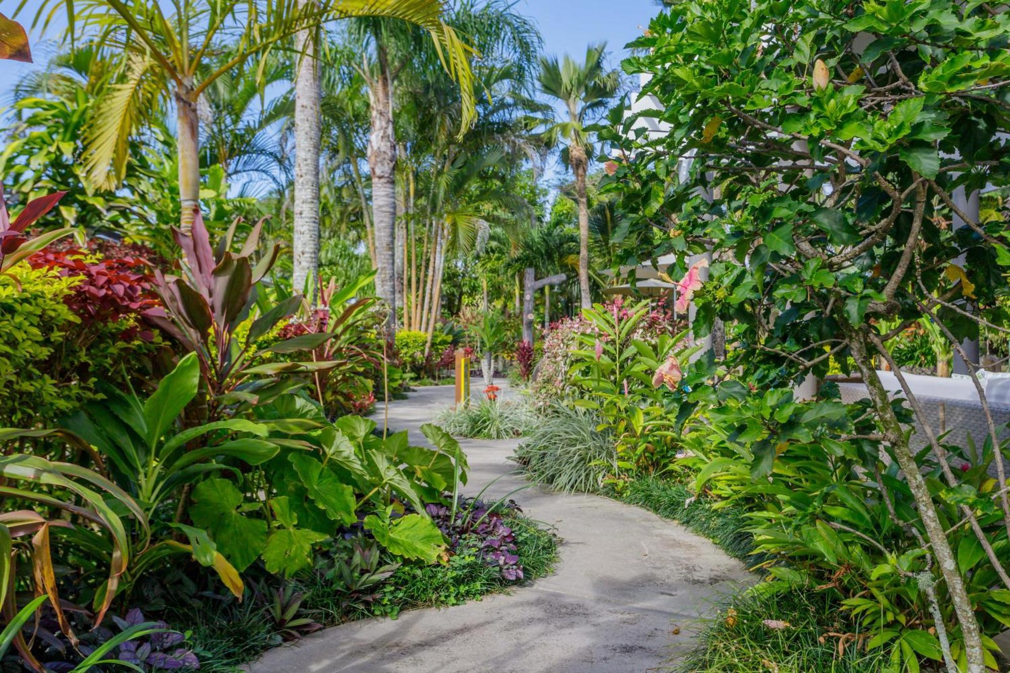 Rarotonga Daydreamer Escape Екстериор снимка